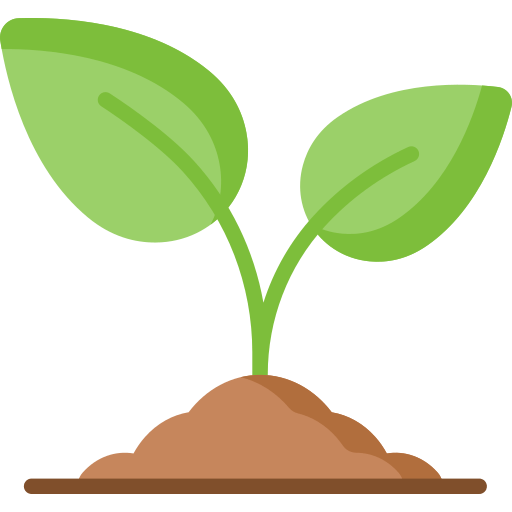 Iconiță plantă în creștere